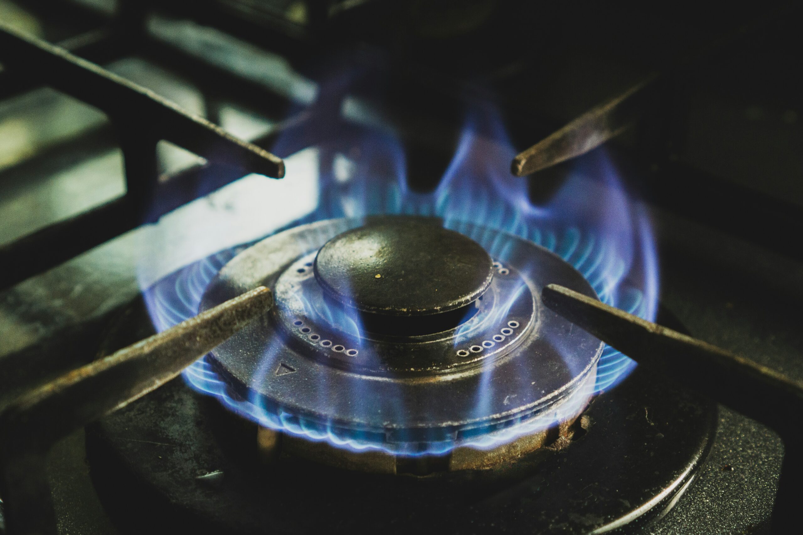 Oil, gas, and coal in 2030: what implications for global energy trade?